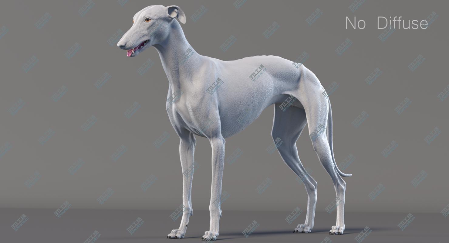 images/goods_img/2021040162/3D Greyhound (2)/4.jpg